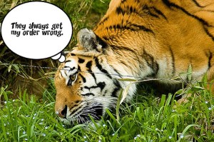 254458006_6277bddd71